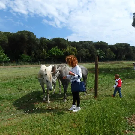 Gallanti 14 Dom wakacyjny Lido di Pomposa